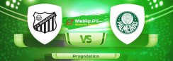 Bragantino-Sp vs Palmeiras – 23-06-2021 22:00 UTC-0