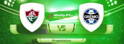 Fluminense RJ vs Gremio FB Porto Alegrense RS – 18-07-2021 00:00 UTC-0
