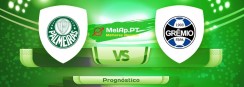 Palmeiras vs Gremio FB Porto Alegrense RS – 07-07-2021 22:00 UTC-0