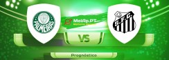 Palmeiras vs Santos – 10-07-2021 19:30 UTC-0