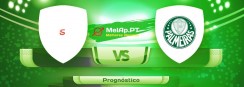 Independiente Petrolero vs Palmeiras – 04-05-2022 00:30 UTC-0
