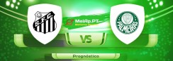 Santos vs Palmeiras – 29-05-2022 19:00 UTC-0